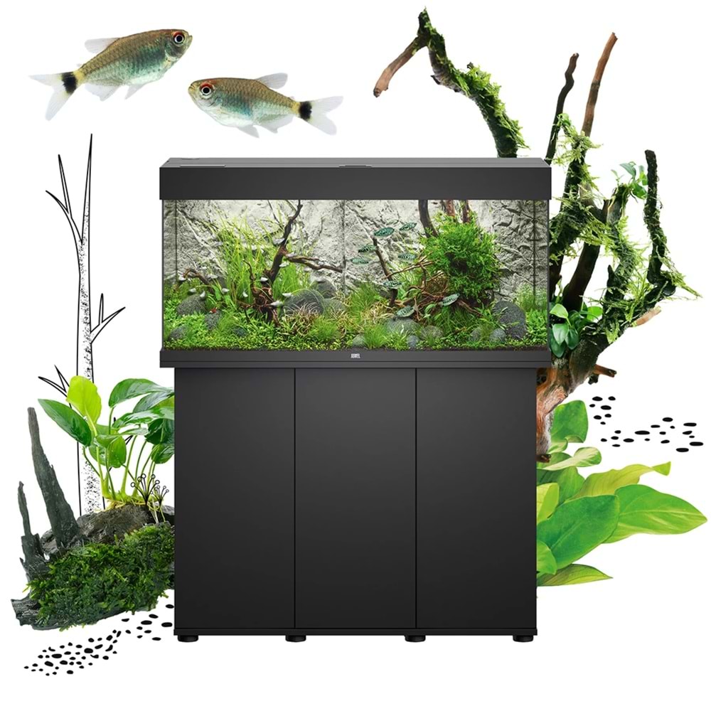 Rio 125 LED Black