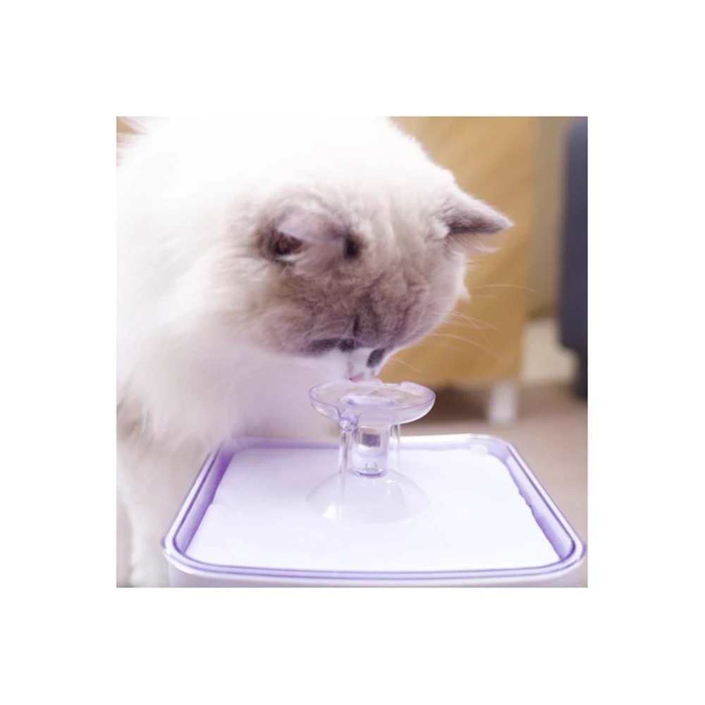 ACLIUM KEDİ SU SEBİLİ
