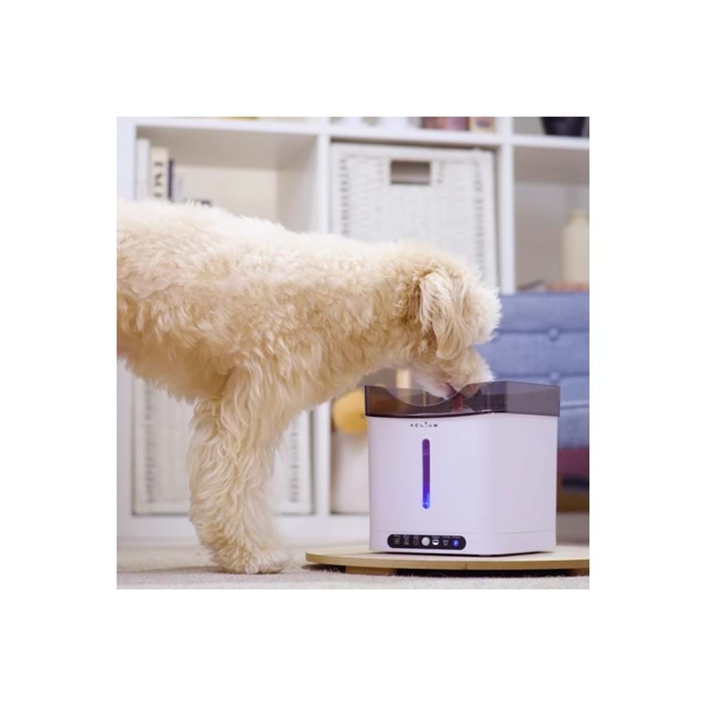 ACLIUM SENSÖRLÜ KÖPEK SU SEBİLİ