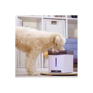ACLIUM SENSÖRLÜ KÖPEK SU SEBİLİ