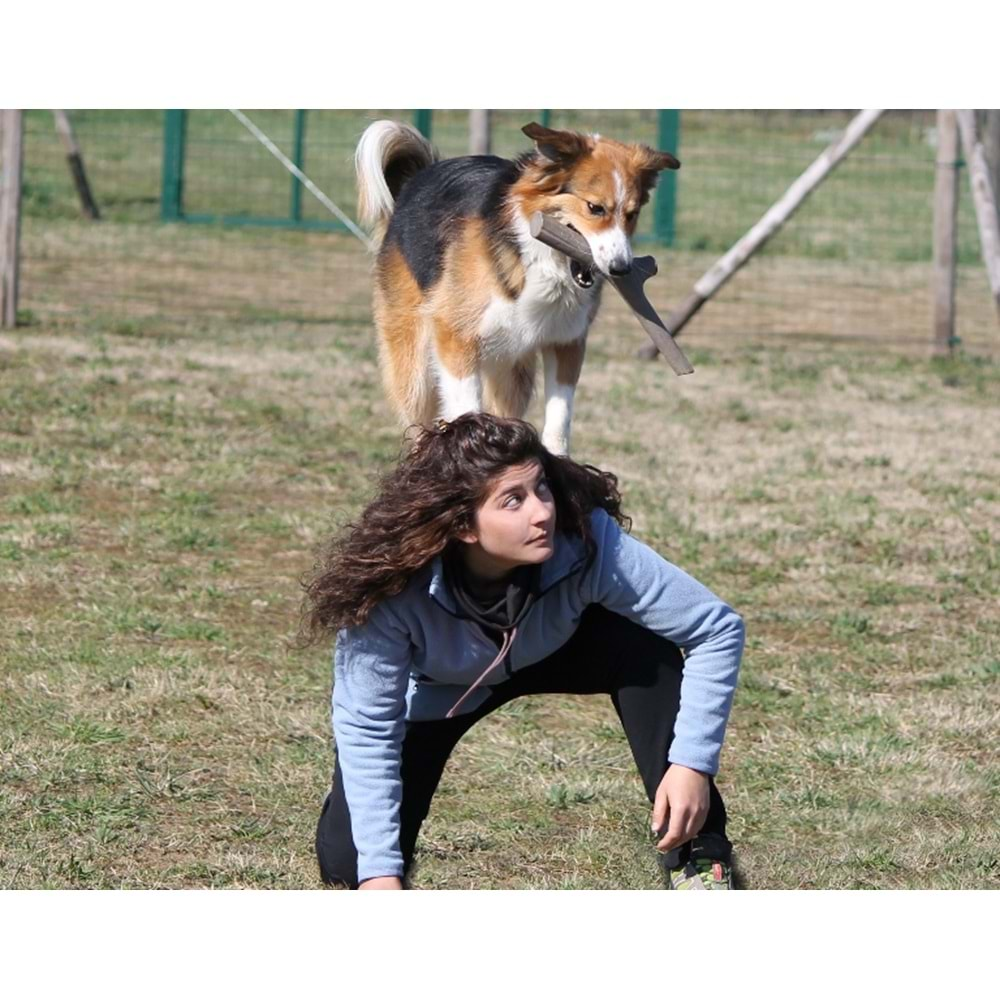 Bama Köpekler İçin Oyun Çubuğu Tuttomio Mini