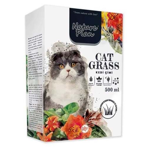 nature plan kedi çimi