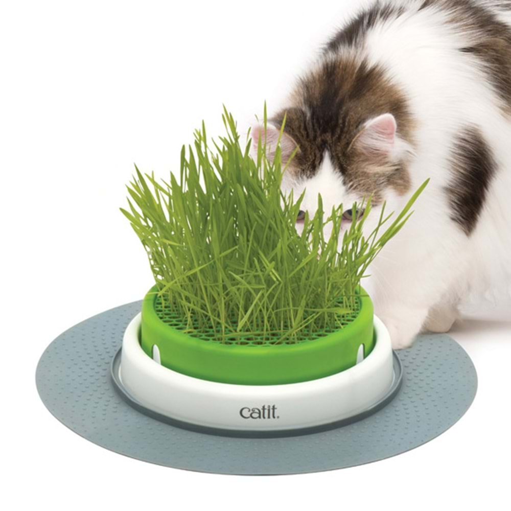 Catit Senses 2.0 Grass Planter Kedi Çimi Seti
