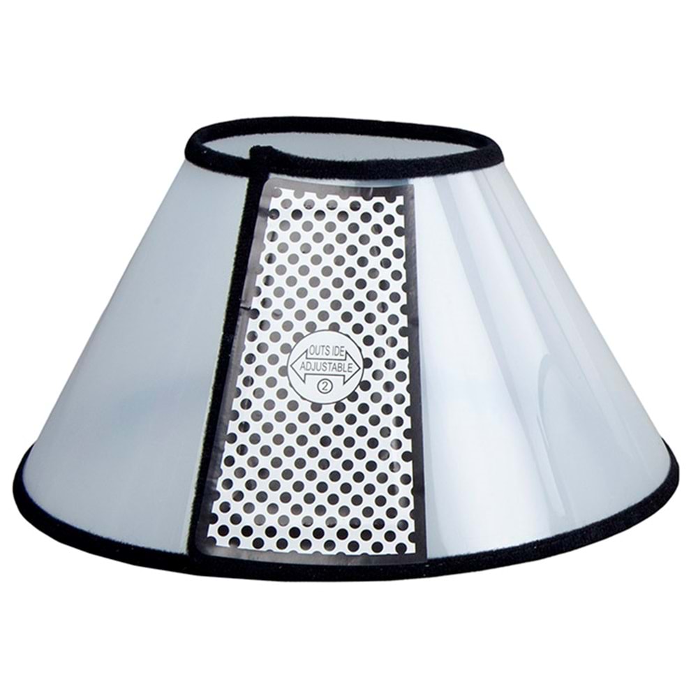 1+ Elizabeth Tasma 25 Cm