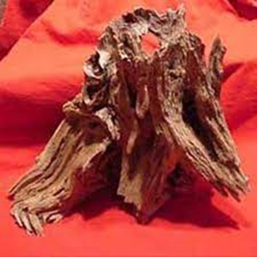 EuroStar Mangrove Akvaryum Kütüğü M (20 Ad.)