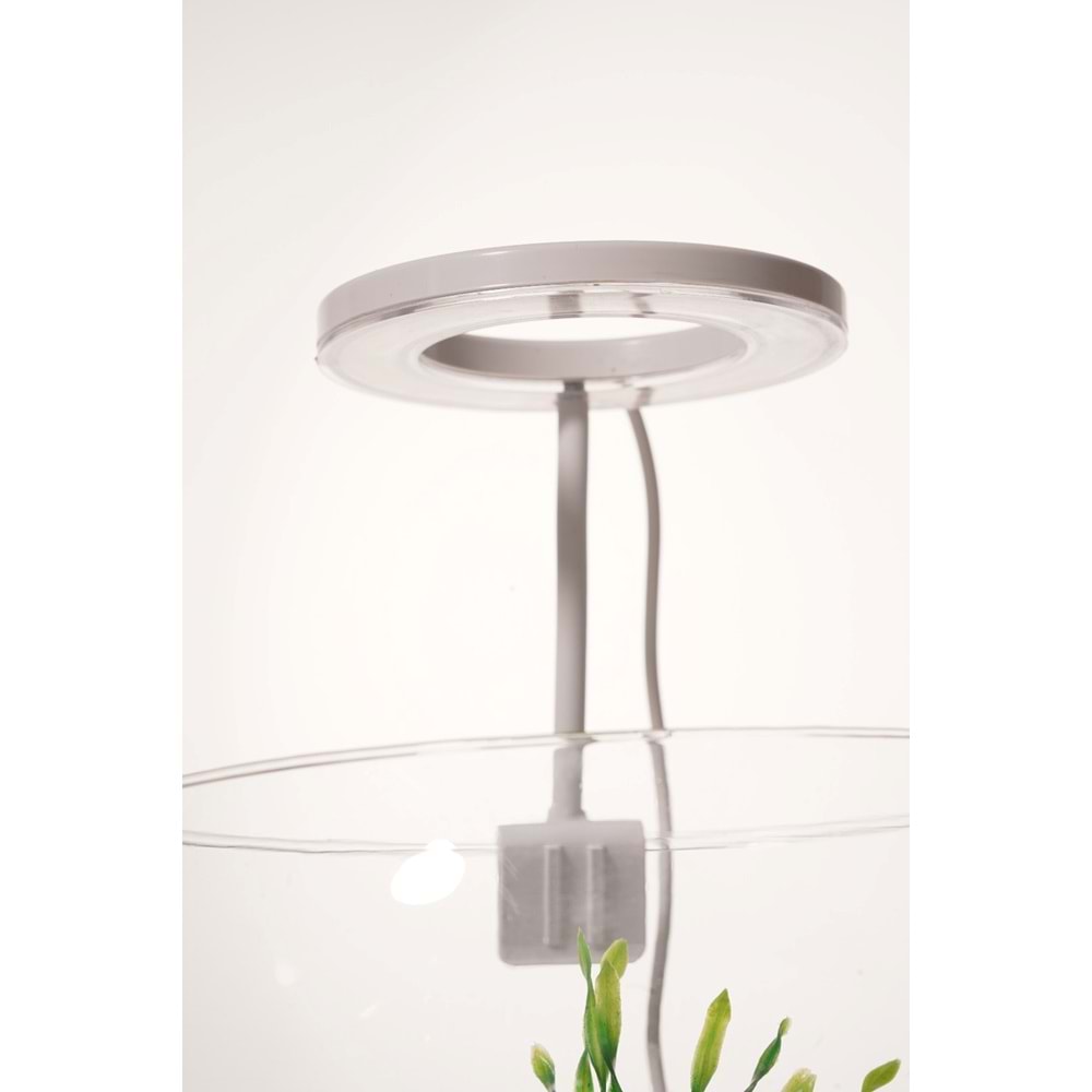 FANUS BEYAZ HALKA - YUVARLAK