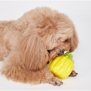 Kıkırdayan Sebzeli Isırıklar Köpek Oyuncağı Balkabağı 9*6.6*9 cm