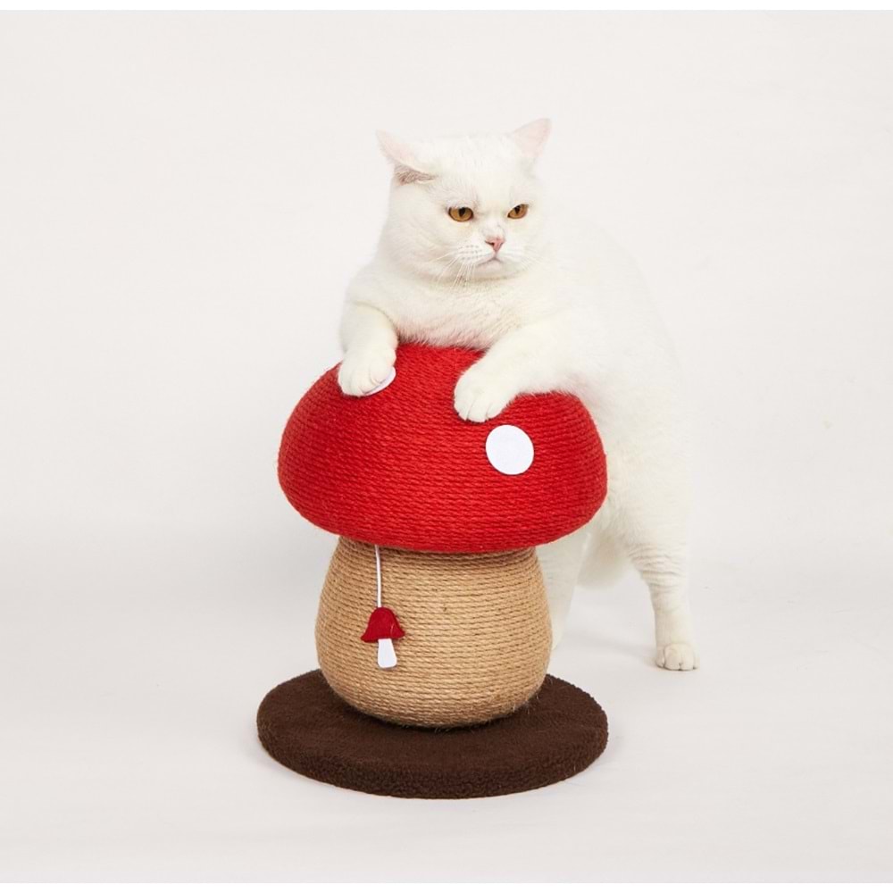 Mantar Kedi Tırmalama Tahtası 29*29*34Cm