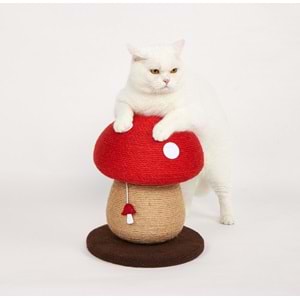 Mantar Kedi Tırmalama Tahtası 29*29*34Cm