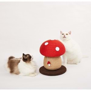 Mantar Kedi Tırmalama Tahtası 29*29*34Cm