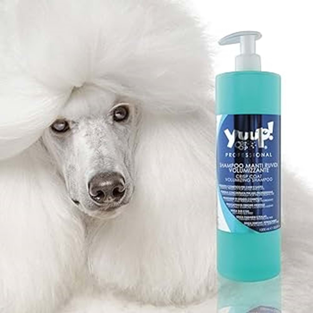 YUUP! Profesyonel konsantre Kıvırcık Tüyler için ve hacim veren şampuan 1 litre